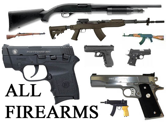ALL FIREARMS